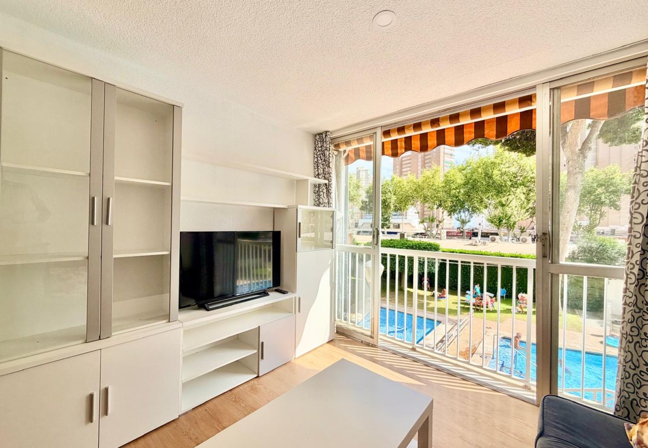 Studio à Benidorm - ALBATROS STUDIO LEVANTE BEACH (A016)