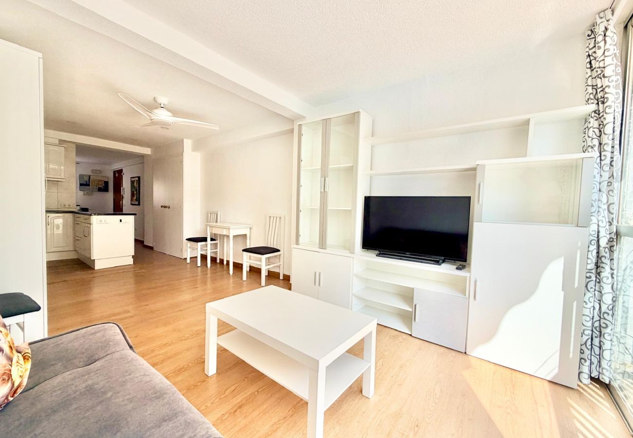 Studio à Benidorm - ALBATROS STUDIO LEVANTE BEACH (A016)