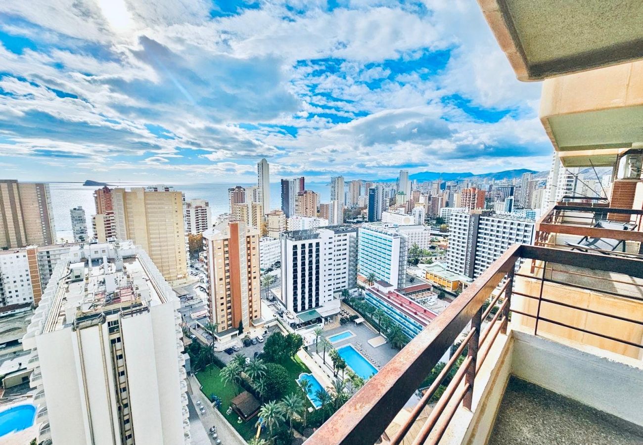 Studio à Benidorm - CITY VIEWS ACUARIUM II
