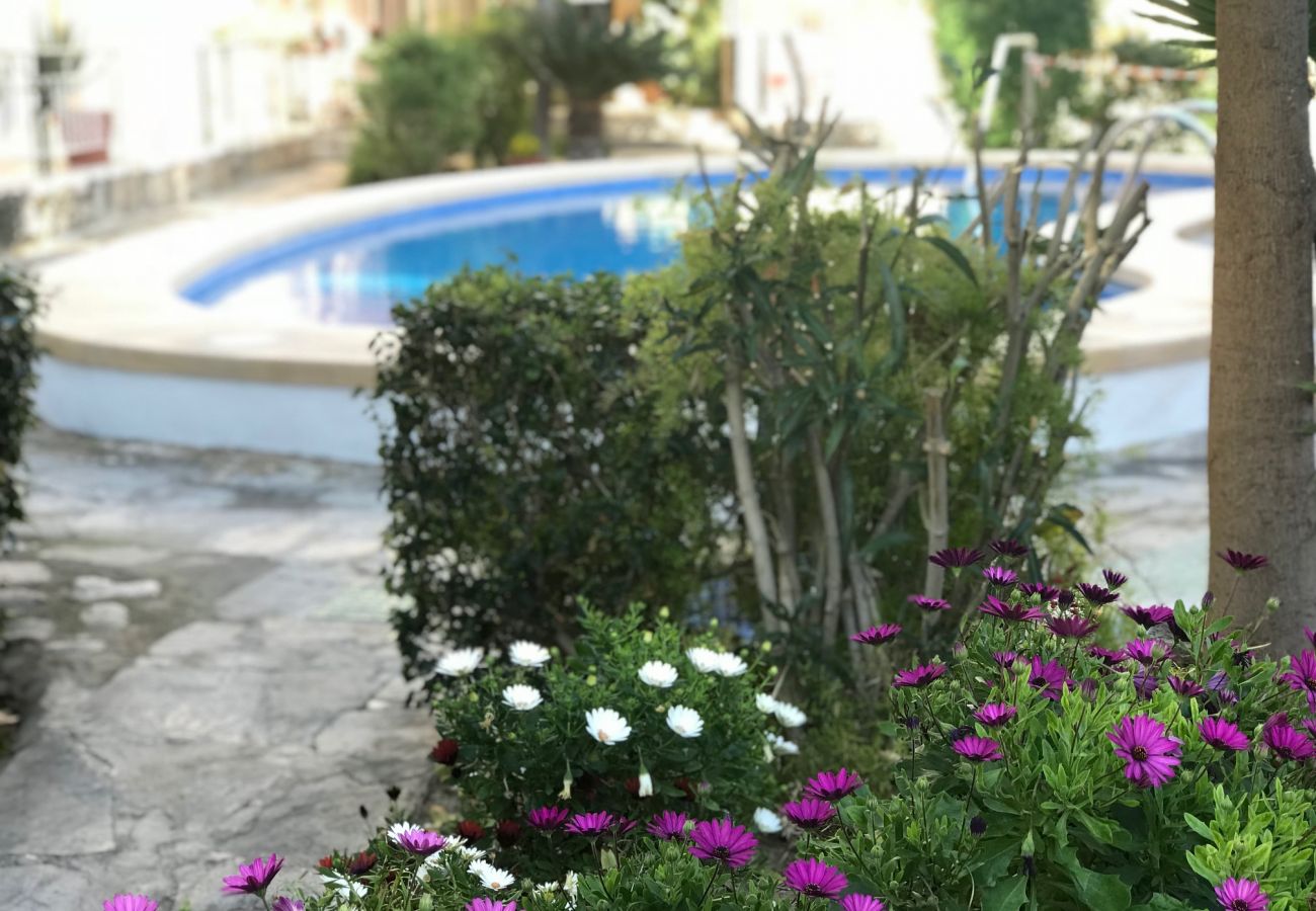 Appartement à Benidorm - D-854 APARTMENT IN NEW TOWN