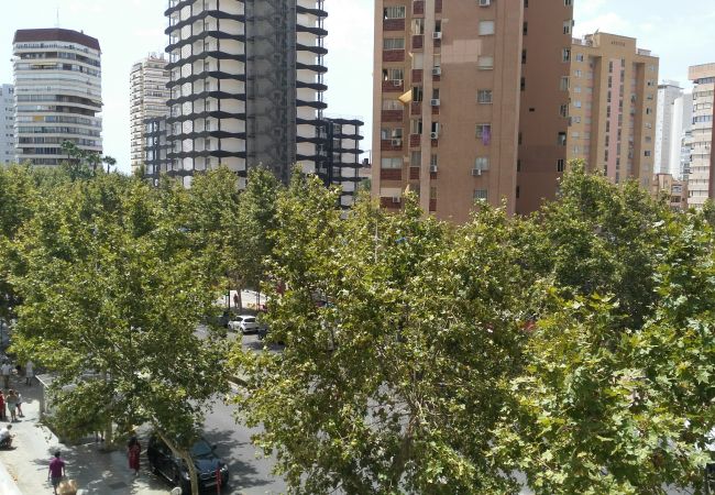 Appartement à Benidorm - R350 COBLANCA 24 Appartement à Benidorm - R350 COBLANCA 24