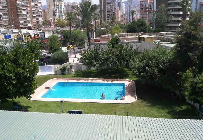 Appartement à Benidorm - R350 COBLANCA 24 Appartement à Benidorm - R350 COBLANCA 24