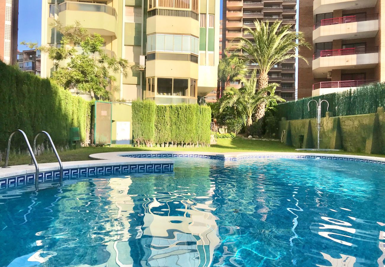 Appartement à Benidorm - R522 APARTMENT IN LEVANTE BEACH BENIDORM